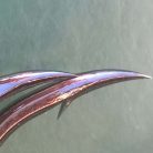 Harcsázó Horog-Füles-Szakállas-Több Változatban