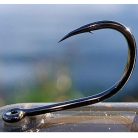 Bojlis Horog-Füles-Szakállas-Több Változatban