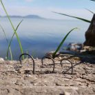 Bojlis Horog-Teflon Bevonatos-Füles-Szakállas-Több Változatban