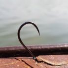 Bojlis Horog-Füles-Szakáll Nélküli-Több Változatban