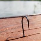 Bojlis Horog-Füles-Szakáll Nélküli-Több Változatban