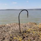 Süllőző Horog-Füles-Szakállas-Több Változatban