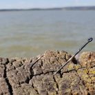 Süllőző Horog-Füles-Szakállas-Több Változatban