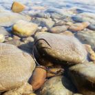 Offset Horog-Füles-Szakállas-Több Változatban