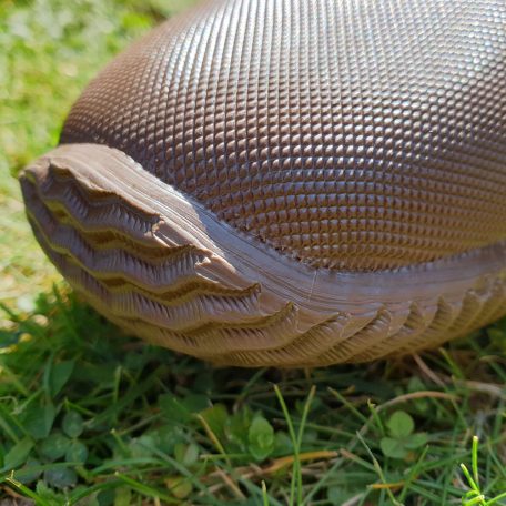 Horgász Papucs-Sátorba-43-As