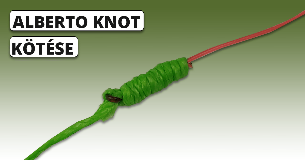 Alberto Knot