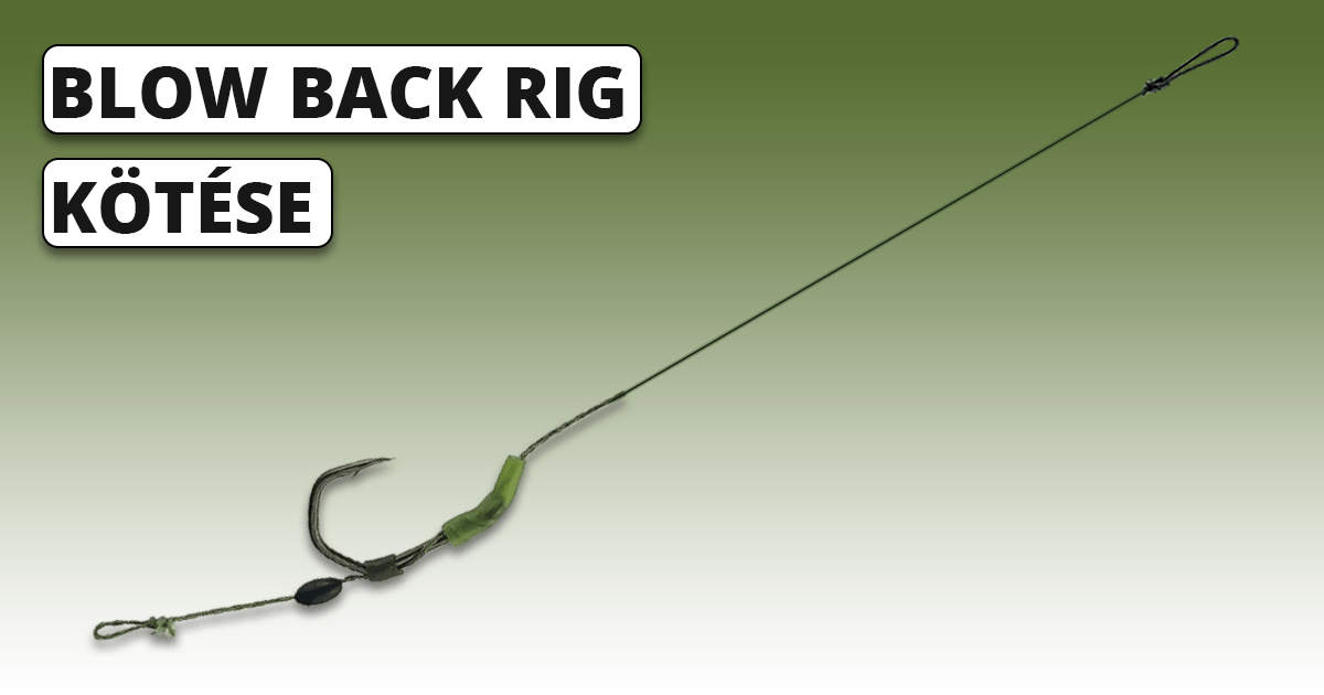 Blow Back Rig 